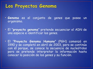 • Genoma es el conjunto de genes que posee un
organismo.
• El “proyecto genoma” pretende secuenciar el ADN de
una especie e identificar los genes.
• El “Proyecto Genoma Humano” (PGH) comenzó en
1990 y se completó en abril de 2003, pero se continúa
con él porque, se conoce la secuencia de nucleótidos
pero se pretende interpretar la información hasta
conocer la posición de los genes y su función.
 