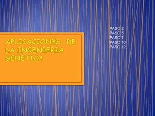 PASO 2
PASO 5
PASO 7
PASO 10
PASO 12
 