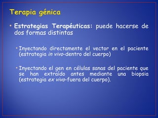 • Estrategias Terapéuticas: puede hacerse de
dos formas distintas
• Inyectando directamente el vector en el paciente
(estrategia in vivo-dentro del cuerpo)
• Inyectando el gen en células sanas del paciente que
se han extraído antes mediante una biopsia
(estrategia ex vivo-fuera del cuerpo).
 