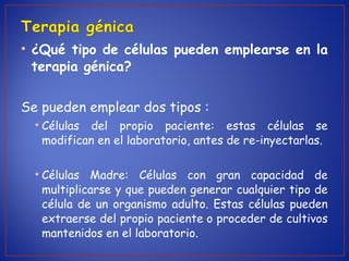• ¿Qué tipo de células pueden emplearse en la
terapia génica?
Se pueden emplear dos tipos :
• Células del propio paciente: estas células se
modifican en el laboratorio, antes de re-inyectarlas.
• Células Madre: Células con gran capacidad de
multiplicarse y que pueden generar cualquier tipo de
célula de un organismo adulto. Estas células pueden
extraerse del propio paciente o proceder de cultivos
mantenidos en el laboratorio.
 