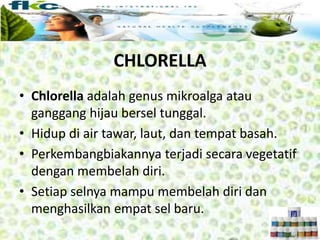• Chlorella adalah genus mikroalga atau
ganggang hijau bersel tunggal.
• Hidup di air tawar, laut, dan tempat basah.
• Perkembangbiakannya terjadi secara vegetatif
dengan membelah diri.
• Setiap selnya mampu membelah diri dan
menghasilkan empat sel baru.
CHLORELLA
 