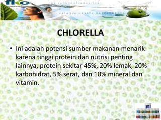 • Ini adalah potensi sumber makanan menarik
karena tinggi protein dan nutrisi penting
lainnya, protein sekitar 45%, 20% lemak, 20%
karbohidrat, 5% serat, dan 10% mineral dan
vitamin.
CHLORELLA
 