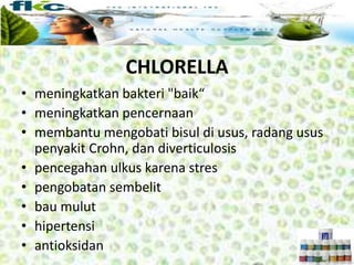 • meningkatkan bakteri "baik“
• meningkatkan pencernaan
• membantu mengobati bisul di usus, radang usus
penyakit Crohn, dan diverticulosis
• pencegahan ulkus karena stres
• pengobatan sembelit
• bau mulut
• hipertensi
• antioksidan
CHLORELLA
 