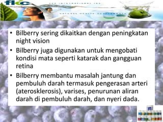 • Bilberry sering dikaitkan dengan peningkatan
night vision
• Bilberry juga digunakan untuk mengobati
kondisi mata seperti katarak dan gangguan
retina
• Bilberry membantu masalah jantung dan
pembuluh darah termasuk pengerasan arteri
(aterosklerosis), varises, penurunan aliran
darah di pembuluh darah, dan nyeri dada.
 