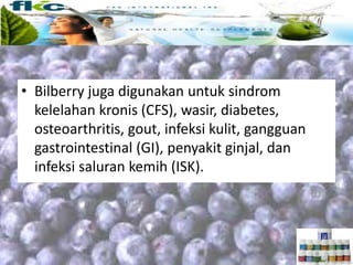 • Bilberry juga digunakan untuk sindrom
kelelahan kronis (CFS), wasir, diabetes,
osteoarthritis, gout, infeksi kulit, gangguan
gastrointestinal (GI), penyakit ginjal, dan
infeksi saluran kemih (ISK).
 