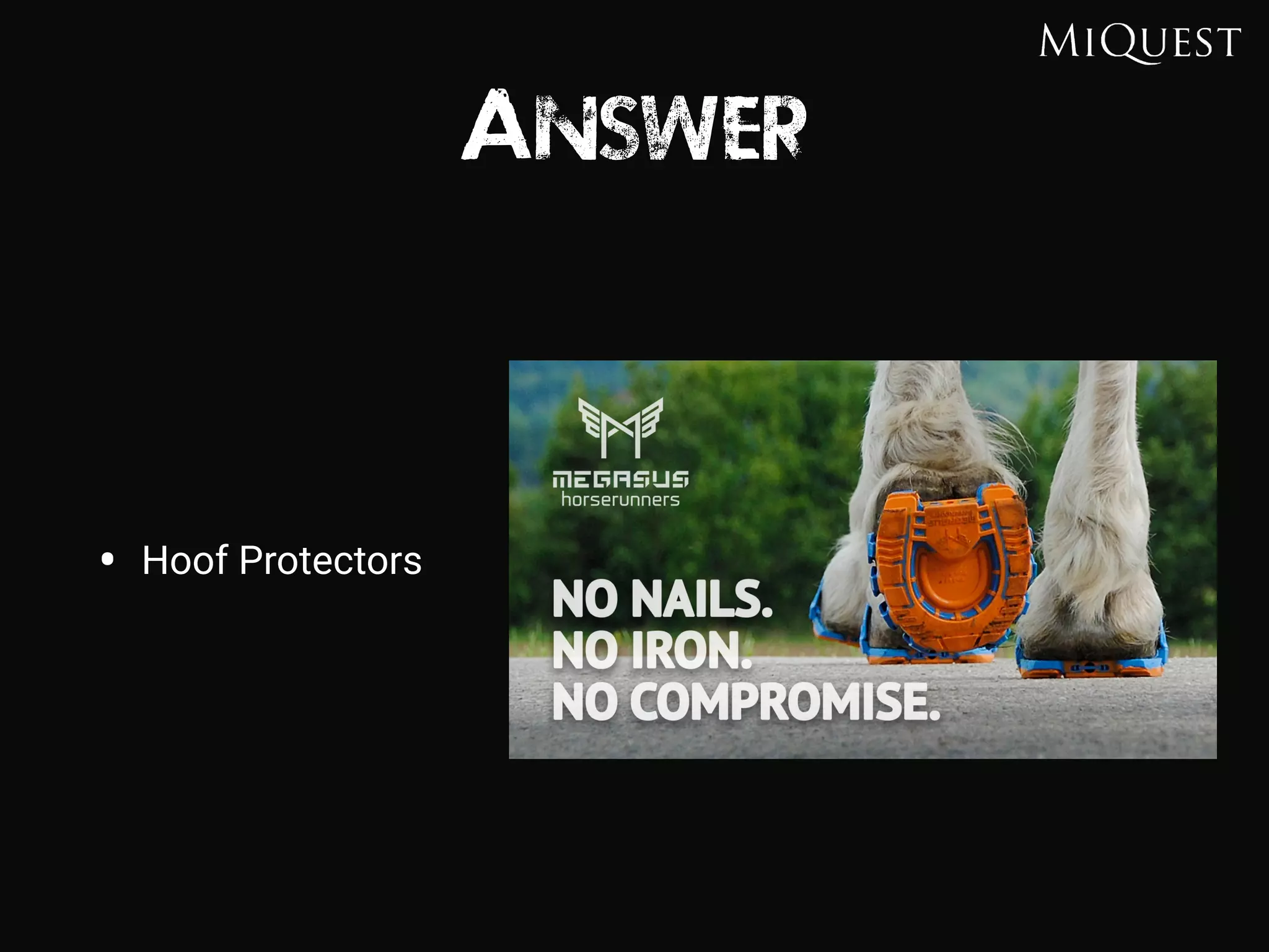 Answer
• Hoof Protectors
 