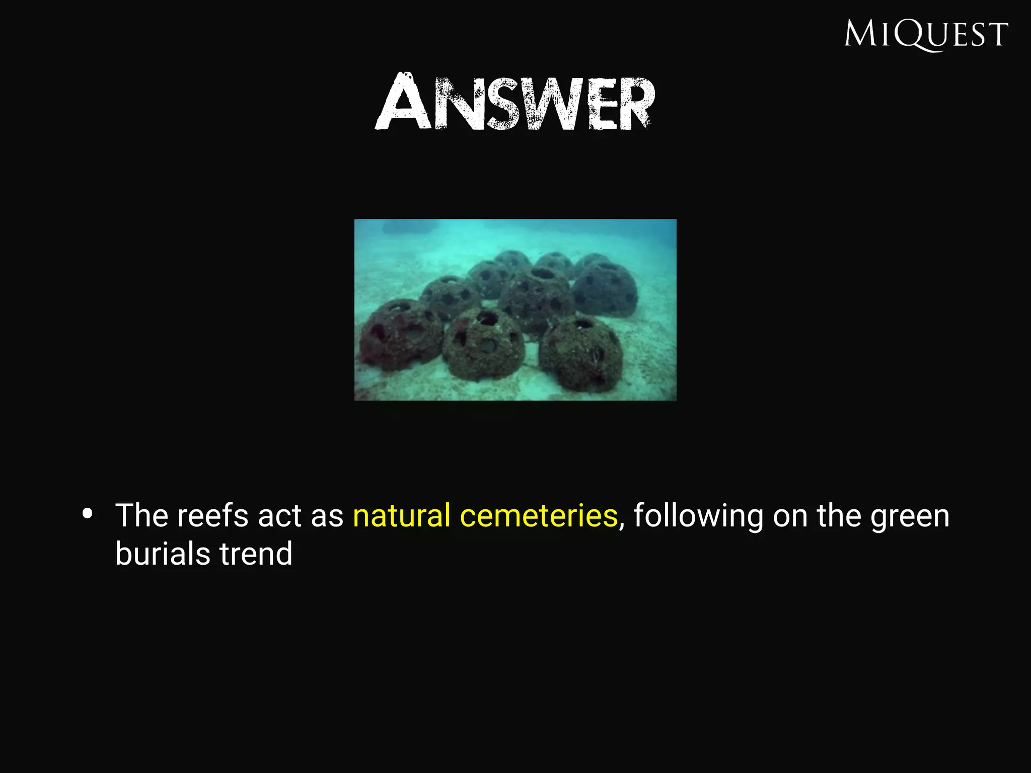 Answer
• The reefs act as natural cemeteries, following on the green
burials trend
 