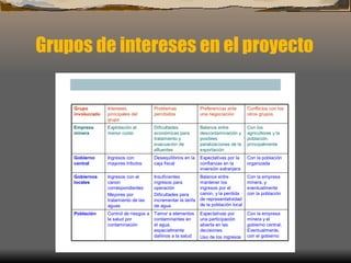 Grupos de intereses en el proyecto   