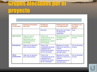 Grupos afectados por el proyecto 
