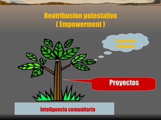 Reatribucion potestativa ( Empowerment ) Inteligencia   comunitaria Proyectos Desarrollo   Endogeno 