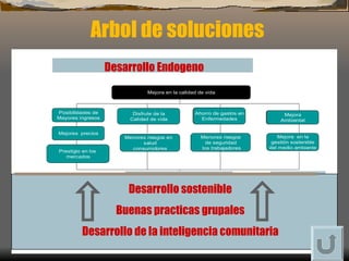 Arbol de soluciones Desarrollo sostenible Buenas practicas grupales Desarrollo de la inteligencia comunitaria Desarrollo   Endogeno 