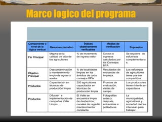 Marco logico del programa 