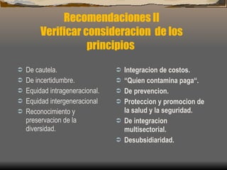 Recomendaciones II Verificar consideracion  de los principios  De cautela. De incertidumbre. Equidad intrageneracional. Equidad intergeneracional Reconocimiento y preservacion de la diversidad. Integracion de costos. “ Quien contamina paga“. De prevencion. Proteccion y promocion de la salud y la seguridad. De integracion multisectorial. Desubsidiaridad. 