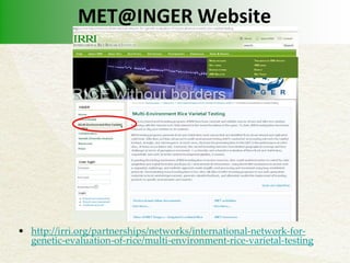 Inger Rice Inger and met | PDF