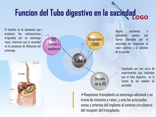 Funcion del Tubo digestivo en la saciedad Alguna sustancia o sustancias qumica que fueran liberadas por el estomago en respuesta al valor calórico y al volumen de la comida Impulsado por una serie de experimentos que indicaban que el tubo digestivo  es la fuente de las señales de saciedad. El hambre es la sensacion que producen las contracciones originadas por un estomago vacio, mientras que la saciedad es la sensacion de dilatacion del estomago Koopmans transplantó un estomago adicional y un tramo de intestino a ratas, y unio las principales venas y arterias del implante al sistema circulatorio del receptor del transplante.   Tubo d 1912 Cannon y  washburn Decada de lo 80 Koopmans  (1981) 