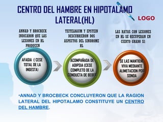 CENTRO DEL HAMBRE EN HIPOTALAMO LATERAL(HL) ANNAD Y BROCBECK CONCLUYERON QUE LA RAGION LATERAL DEL HIPOTALAMO CONSTITUYE UN  CENTRO DEL HAMBRE . AFAGIA  ( CESE TOTAL DE LA INGESTA ) ANNAD Y BROCBECK INDICARON QUE LAS LESIONES EN HL PRODUCEN TEITELBAUM Y EPSTEIN DESCUBRIERON DOS ASPECTOS DEL SINDROME HL ACOMPAÑADA DE ADIPSIA (CESE COMPLETO DE LA CONDUCTA DE BEBER SE LAS MANTIENE VIVA MEDIANTE ALIMETACION POR SONDA LAS RATAS CON LESIONES EN HL SE RECUPERAN EN CIERTO GRADO SI: 