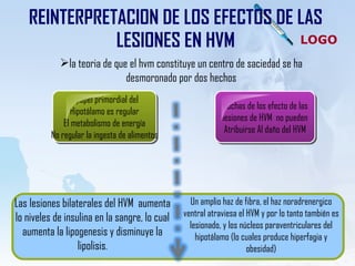 REINTERPRETACION DE LOS EFECTOS DE LAS LESIONES EN HVM la teoria de que el hvm constituye un centro de saciedad se ha desmoronado por dos hechos Las lesiones bilaterales del HVM  aumenta lo niveles de insulina en la sangre, lo cual aumenta la lipogenesis y disminuye la lipolisis . Un amplio haz de fibra, el haz noradrenergico ventral atraviesa el HVM y por lo tanto también es lesionado, y los núcleos paraventriculares del hipotálamo (lo cuales produce hiperfagia y obesidad) el papel primordial del  Hipotálamo es regular El metabolismo de energía No regular la ingesta de alimentos Muchas de los efecto de las lesiones de HVM  no pueden  Atribuirse Al daño del HVM 