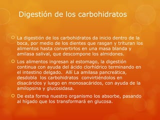 Digestión de los carbohidratos


 La digestión de los carbohidratos da inicio dentro de la
  boca, por medio de los dientes que rasgan y trituran los
  alimentos hasta convertirlos en una masa blanda y
  amilasa salival, que descompone los almidones.
 Los alimentos ingresan al estomago, la digestión
  continua con ayuda del ácido clorhídrico terminando en
  el intestino delgado. Allí La amilasa pancreática,
  desdobla los carbohidratos convirtiéndolos en
  disacáridos y luego en monosacáridos, con ayuda de la
  amilopsina y glucosidasa.
 De esta forma nuestro organismo los absorbe, pasando
  al hígado que los transformará en glucosa.
 