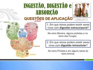 INGESTÃO, DIGESTÃO e
     ABSORÇÃO
         1. Em que reinos podem existir seres
         vivos com digestão extracorporal?

          No reino Monera, alguns protistas e no
                    reino dos Fungos.

         2. Em que reinos podem existir seres
           vivos com digestão intracelular?

          No reino Protista e em alguns seres do
                       reino Animal.
 