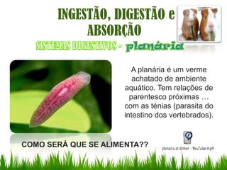 INGESTÃO, DIGESTÃO e
            ABSORÇÃO

                        A planária é um verme
                        achatado de ambiente
                     aquático. Tem relações de
                       parentesco próximas …
                     com as ténias (parasita do
                     intestino dos vertebrados).


COMO SERÁ QUE SE ALIMENTA??
 
