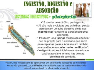 INGESTÃO, DIGESTÃO e
                      ABSORÇÃO
                                É um ser heterotrófico por ingestão;
                            Já são mais evoluídas que as hidras, pois já
                              apresentam um tubo digestivo ainda que
                             incompleto! (também só apresentam uma
                                              abertura).
                             Possuem uma faringe musculosa e tubular
                              que se projeta para o exterior e que serve
                             para captar as presas. Apresentam também
                            uma cavidade vascular muito ramificada *.
                            A digestão ocorre inicialmente na cavidade
                                gastrovascular e termina nas células
                                       próximas da cavidade.

*Assim, não necessitam de apresentar um sistema de transporte de nutrientes –
  estas vão passando, por difusão, da cavidade para as restantes células do
                 animal, aumentando a eficácia da absorção
 