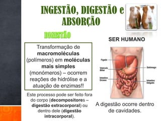 INGESTÃO, DIGESTÃO e
           ABSORÇÃO
                                     SER HUMANO
     Transformação de
     macromoléculas
(polímeros) em moléculas
       mais simples
 (monómeros) – ocorrem
  reações de hidrólise e a
   atuação de enzimas!!
Este processo pode ser feito fora
 do corpo (decompositores –
  digestão extracorporal) ou      A digestão ocorre dentro
     dentro dele (digestão             de cavidades.
        intracorporal).
 
