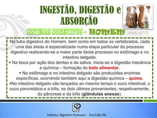 INGESTÃO, DIGESTÃO e
                     ABSORÇÃO
No tubo digestivo do Homem, bem como em todos os vertebrados, cada
    uma das áreas é especializada numa etapa particular do processo
 digestivo realizando-se a maior parte deste processo no estômago e no
                             intestino delgado.
 Na boca por ação dos dentes e da saliva, inicia-se a digestão mecânica
                 e química – formação do bolo alimentar.
      No estômago e no intestino delgado são produzidas enzimas
    específicas, ocorrendo também aqui a digestão química – quimo.
No intestino delgado são lançados ao mesmo tempo o suco intestinal, o
suco pancreático e a bílis, os dois últimos provenientes, respetivamente,
                do pâncreas e da bílis (glândulas anexas).
 