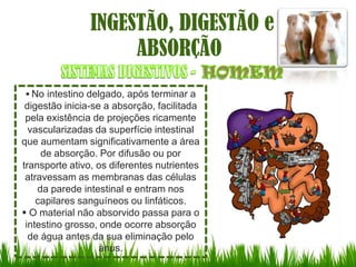 INGESTÃO, DIGESTÃO e
                     ABSORÇÃO
 No intestino delgado, após terminar a
 digestão inicia-se a absorção, facilitada
 pela existência de projeções ricamente
  vascularizadas da superfície intestinal
que aumentam significativamente a área
     de absorção. Por difusão ou por
transporte ativo, os diferentes nutrientes
 atravessam as membranas das células
    da parede intestinal e entram nos
    capilares sanguíneos ou linfáticos.
 O material não absorvido passa para o
 intestino grosso, onde ocorre absorção
  de água antes da sua eliminação pelo
                   ànus.
 
