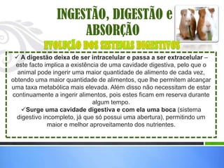 INGESTÃO, DIGESTÃO e
                     ABSORÇÃO
  A digestão deixa de ser intracelular e passa a ser extracelular –
 este facto implica a existência de uma cavidade digestiva, pelo que o
  animal pode ingerir uma maior quantidade de alimento de cada vez,
obtendo uma maior quantidade de alimentos, que lhe permitem alcançar
uma taxa metabólica mais elevada. Além disso não necessitam de estar
continuamente a ingerir alimentos, pois estes ficam em reserva durante
                              algum tempo.
   Surge uma cavidade digestiva e com ela uma boca (sistema
  digestivo incompleto, já que só possui uma abertura), permitindo um
              maior e melhor aproveitamento dos nutrientes.
 