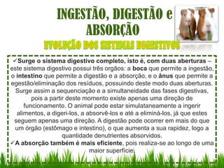 INGESTÃO, DIGESTÃO e
                     ABSORÇÃO

 Surge o sistema digestivo completo, isto é, com duas aberturas –
este sistema digestivo possui três orgãos: a boca que permite a ingestão,
o intestino que permite a digestão e a absorção, e o ânus que permite a
egestão/eliminação dos resíduos, possuindo deste modo duas aberturas.
  Surge assim a sequenciação e a simultaneidade das fases digestivas,
        pois a partir deste momento existe apenas uma direção de
     funcionamento. O animal pode estar simulataneamente a ingerir
  alimentos, a digeri-los, a absorvê-los e até a eliminá-los, já que estes
 seguem apenas uma direção. A digestão pode ocorrer em mais do que
  um órgão (estômago e intestino), o que aumenta a sua rapidez, logo a
                    quantidade denutrientes absorvidos.
A absorção também é mais eficiente, pois realiza-se ao longo de uma
                              maior superfície.
 