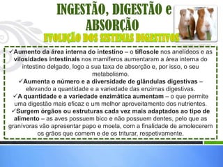 INGESTÃO, DIGESTÃO e
                     ABSORÇÃO
Aumento da área interna do intestino – o tiflosole nos anelídeos e as
  vilosidades intestinais nos mamíferos aumentaram a área interna do
     intestino delgado, logo a sua taxa de absorção e, por isso, o seu
                               metabolismo.
    Aumenta o número e a diversidade de glândulas digestivas –
       elevando a quantidade e a variedade das enzimas digestivas.
 A quantidade e a variedade enzimática aumentam – o que permite
  uma digestão mais eficaz e um melhor aproveitamento dos nutrientes.
 Surgem órgãos ou estruturas cada vez mais adaptados ao tipo de
  alimento – as aves possuem bico e não possuem dentes, pelo que as
granívoras vão apresentar papo e moela, com a finalidade de amolecerem
           os grãos que comem e de os triturar, respetivamente.
 
