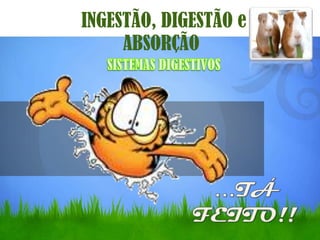 INGESTÃO, DIGESTÃO e
     ABSORÇÃO
 