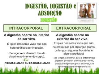 INGESTÃO, DIGESTÃO e
                      ABSORÇÃO

   INTRACORPORAL                        EXTRACORPORAL
A digestão ocorre no interior           A digestão ocorre no
        do ser vivo.                    exterior do ser vivo.
  É típica dos seres vivos que são     É típica dos seres vivos que são
     heterotróficos por ingestão.     heterotróficos por absorção (como
                                       os fungos, algumas bactérias e
   (Se ingerirem alimento tem de                alguns protistas)
   digeri-lo no interior do corpo).   São lançadas enzimas para o exterior que
                                       digerem produtos alimentares – estes,
INTRACELULAR ou EXTRACELULAR           depois de digeridos pelas enzimas, são
                                          absorvidos para o interior do ser.
 