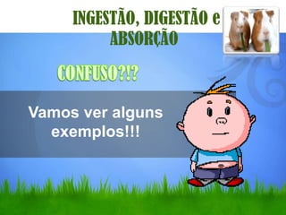 INGESTÃO, DIGESTÃO e
          ABSORÇÃO



Vamos ver alguns
  exemplos!!!
 