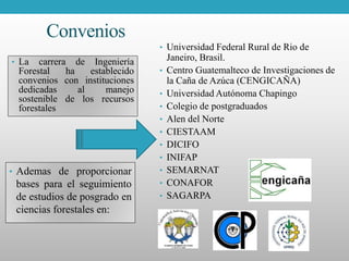 Convenios
• Universidad Federal Rural de Rio de
Janeiro, Brasil.
• Centro Guatemalteco de Investigaciones de
la Caña de Azúca (CENGICAÑA)
• Universidad Autónoma Chapingo
• Colegio de postgraduados
• Alen del Norte
• CIESTAAM
• DICIFO
• INIFAP
• SEMARNAT
• CONAFOR
• SAGARPA
• La carrera de Ingeniería
Forestal ha establecido
convenios con instituciones
dedicadas al manejo
sostenible de los recursos
forestales
• Ademas de proporcionar
bases para el seguimiento
de estudios de posgrado en
ciencias forestales en:
 