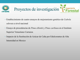 Proyectos de investigación
• Establecimiento de cuatro ensayos de mejoramiento genético de Cedrela
odorata a nivel nacional
• Ensayo de procedencias de Pinus elliottii y Pinus caribaea en el Instituto
Superior Venustiano Carranza
• Impacto de la Sustitución de Azúcar de Caña por Edulcorantes de Alta
Intensidad en Mexico
 