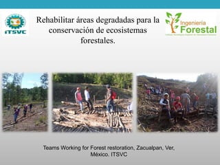 Rehabilitar áreas degradadas para la
conservación de ecosistemas
forestales.
Teams Working for Forest restoration, Zacualpan, Ver,
México. ITSVC
 