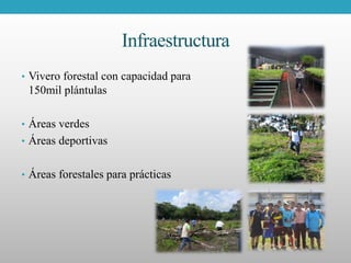 Infraestructura
• Vivero forestal con capacidad para
150mil plántulas
• Áreas verdes
• Áreas deportivas
• Áreas forestales para prácticas
 