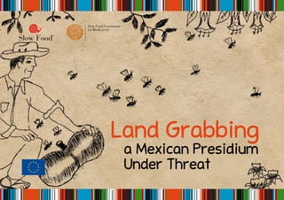 Land Grabbing
a Mexican Presidium
Under Threat
 