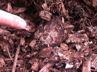 ©2008 Rodale institute
 