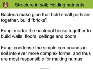 ©2008 Rodale institute
Bacteria make glue that hold small particles
together, build “bricks”
Fungi mortar the bacterial bricks together to
build walls, floors, ceilings and doors.
Fungi condense the simple compounds in
soil into ever more complex forms, and thus
are most responsible for making humus
Structure in soil; Holding nutrients
 