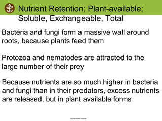 ©2008 Rodale institute
Bacteria and fungi form a massive wall around
roots, because plants feed them
Protozoa and nematodes are attracted to the
large number of their prey
Because nutrients are so much higher in bacteria
and fungi than in their predators, excess nutrients
are released, but in plant available forms
Nutrient Retention; Plant-available;
Soluble, Exchangeable, Total
 