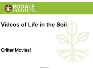 ©2008 Rodale institute
Videos of Life in the Soil
Critter Movies!
 