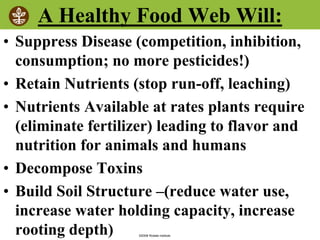 ©2008 Rodale institute
A Healthy Food Web Will:
• Suppress Disease (competition, inhibition,
consumption; no more pesticides!)
• Retain Nutrients (stop run-off, leaching)
• Nutrients Available at rates plants require
(eliminate fertilizer) leading to flavor and
nutrition for animals and humans
• Decompose Toxins
• Build Soil Structure –(reduce water use,
increase water holding capacity, increase
rooting depth)
 
