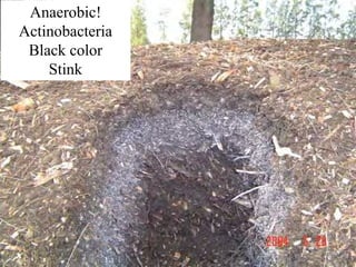 ©2008 Rodale institute
Anaerobic!
Actinobacteria
Black color
Stink
 