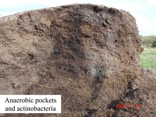©2008 Rodale institute
Anaerobic pockets
and actinobacteria
 