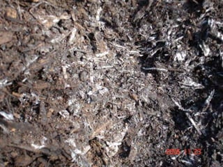 ©2008 Rodale institute
 