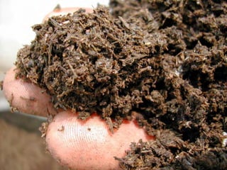 ©2008 Rodale institute
 