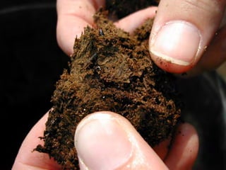 ©2008 Rodale institute
 