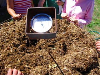 ©2008 Rodale institute
 